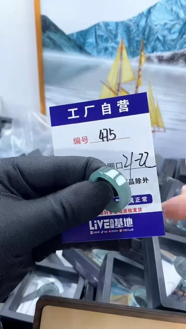 未镶嵌戒圈翡翠475