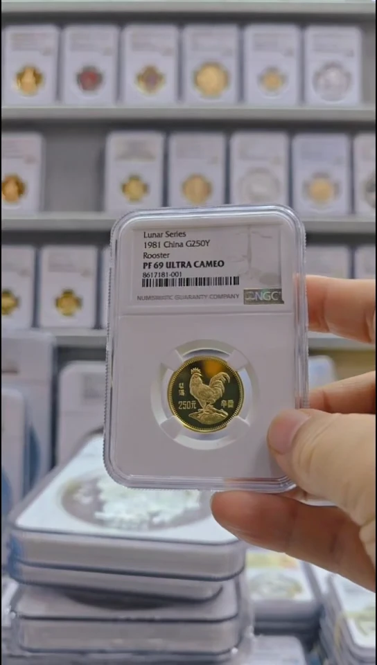 金Au9161981年8克金鸡 NGC69 无盒证