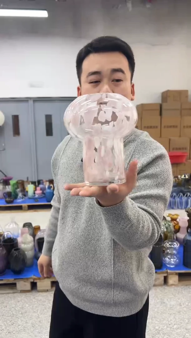 水养鲜花干花插花客厅装饰品小