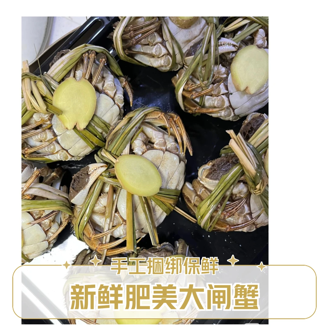 58.8鲜活10只一两母大闸蟹（单只约1.2-1.5）
