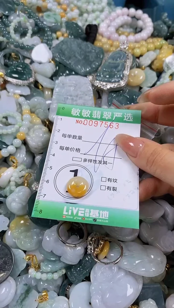 【闪购商品】翡翠颈饰未镶嵌闪购0097563