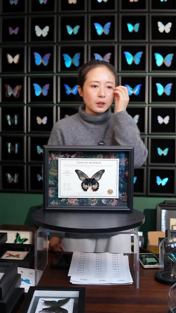 美凤蝶A4横框布艺款无尾