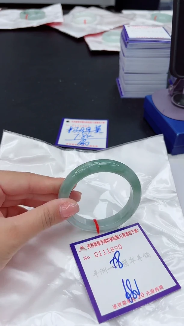 未镶嵌手镯翡翠1