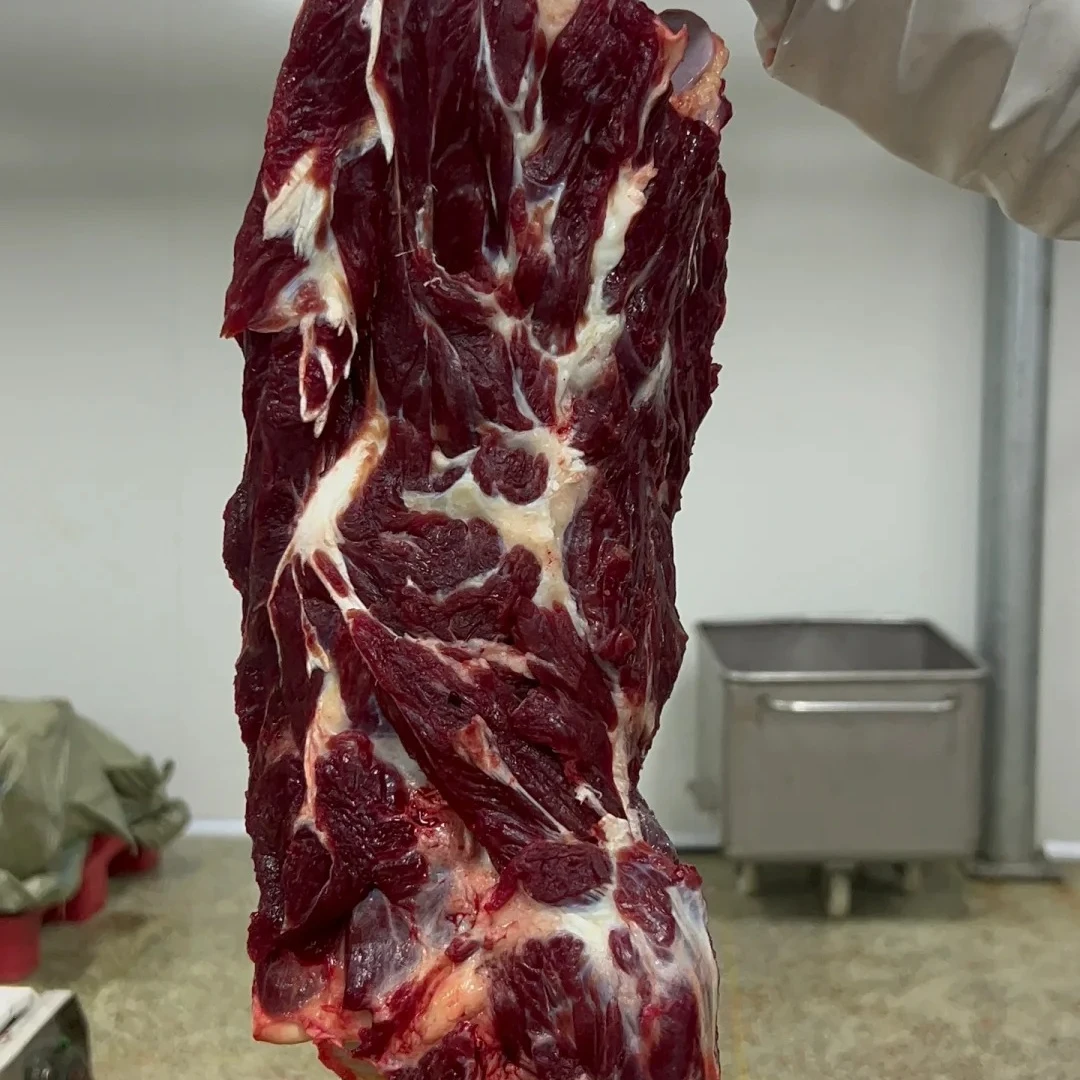 【牛颈肉】一斤装 牛颈肉现切鲜牛肉品质 限量活动 小时达牛肉同城配