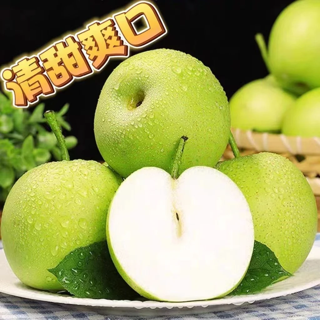 正宗2025年砀山翠冠梨皮薄多汁脆甜无渣