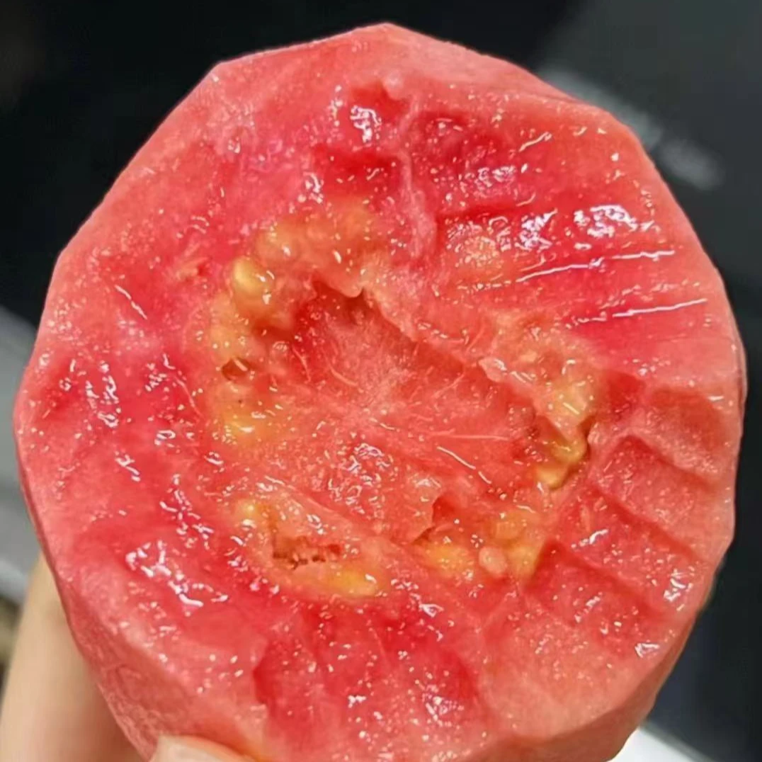 【来此购优选】红心芭乐一盒2个