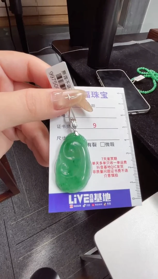 项链银S925镶嵌石英质玉（非洲翠）18.57如意