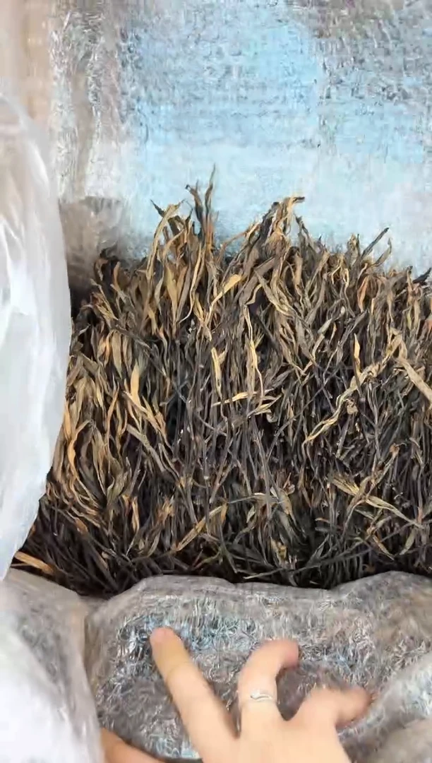 壶 666号茶【白云推荐】把茶500克