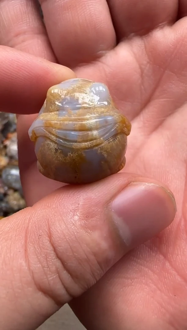 【闪购商品】硅化珊瑚（珊瑚玉）颈饰未镶嵌183