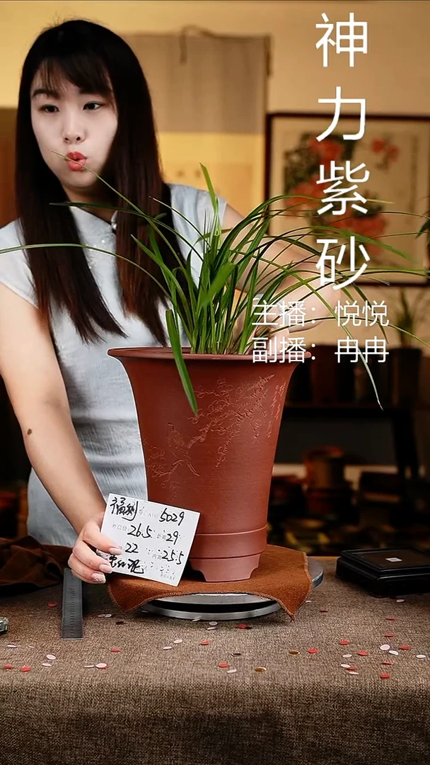 紫砂花盆花卉工艺5029