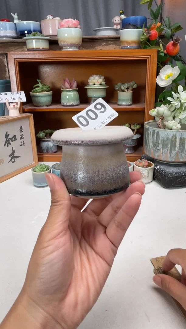 瓷片009知木小芳花盆