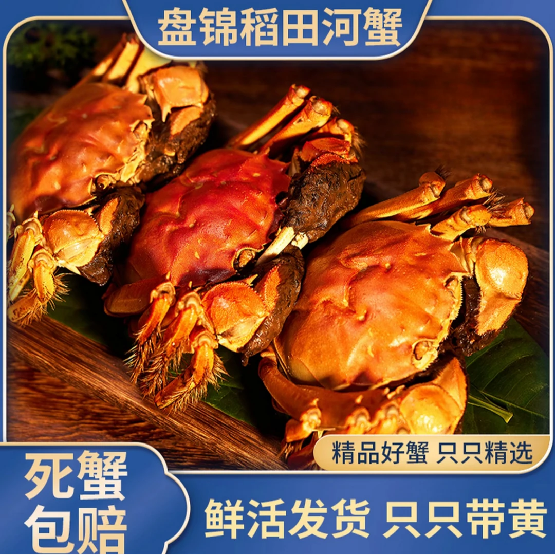 【活蟹】【1-0.8两/只】盘锦稻田蟹母蟹  净重2.5斤 顺丰包邮