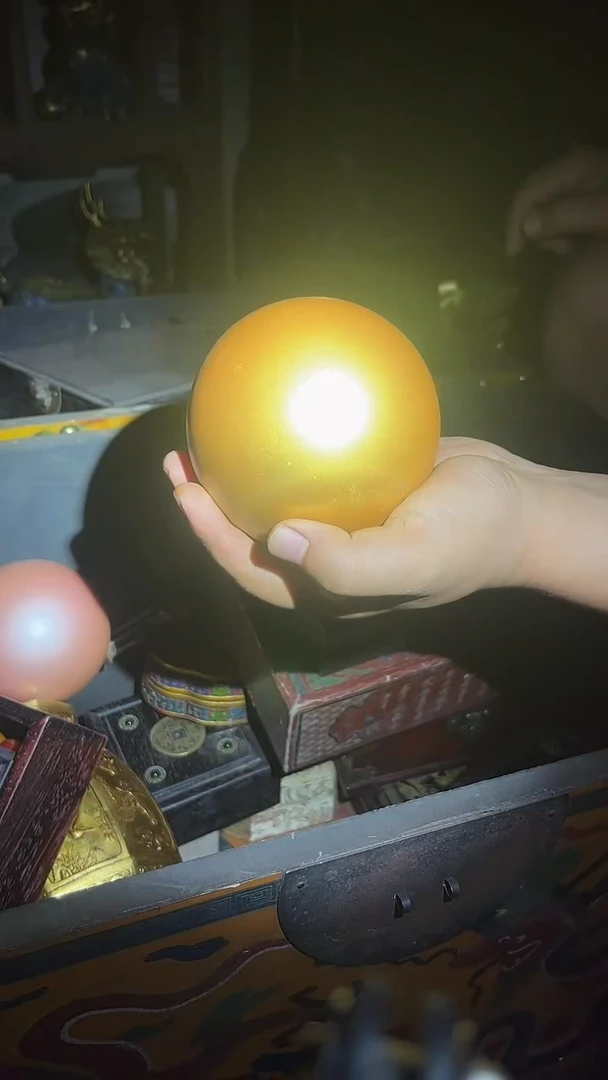 手串/手链贝壳1颗.......较大.......黄