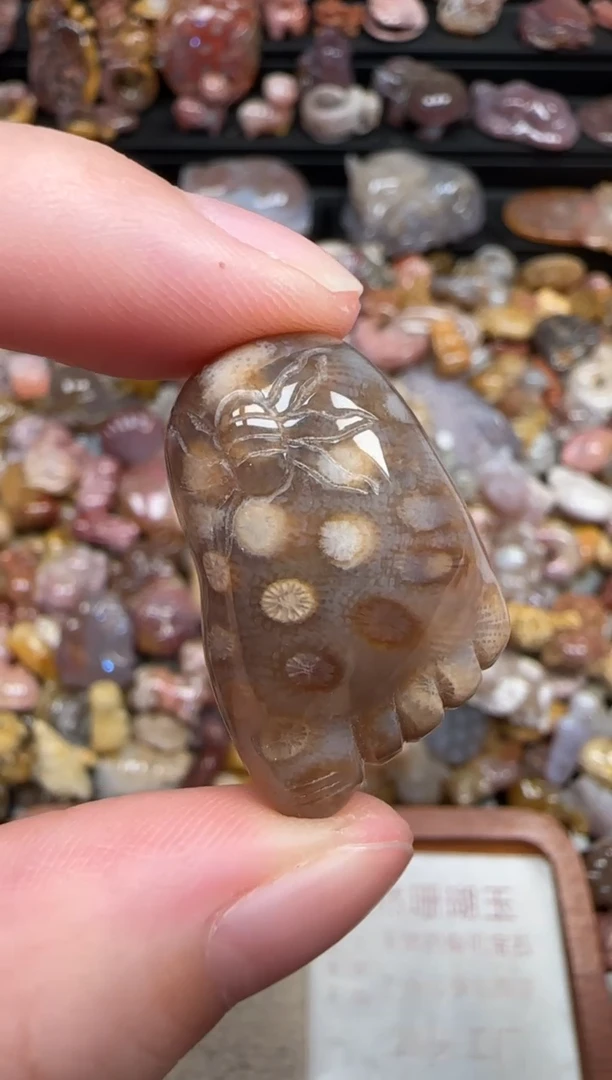 颈饰未镶嵌硅化珊瑚（珊瑚玉）053