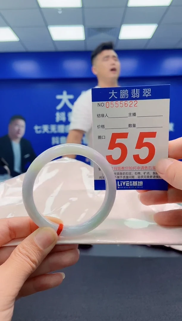 未镶嵌手镯翡翠AAAAAAAAA