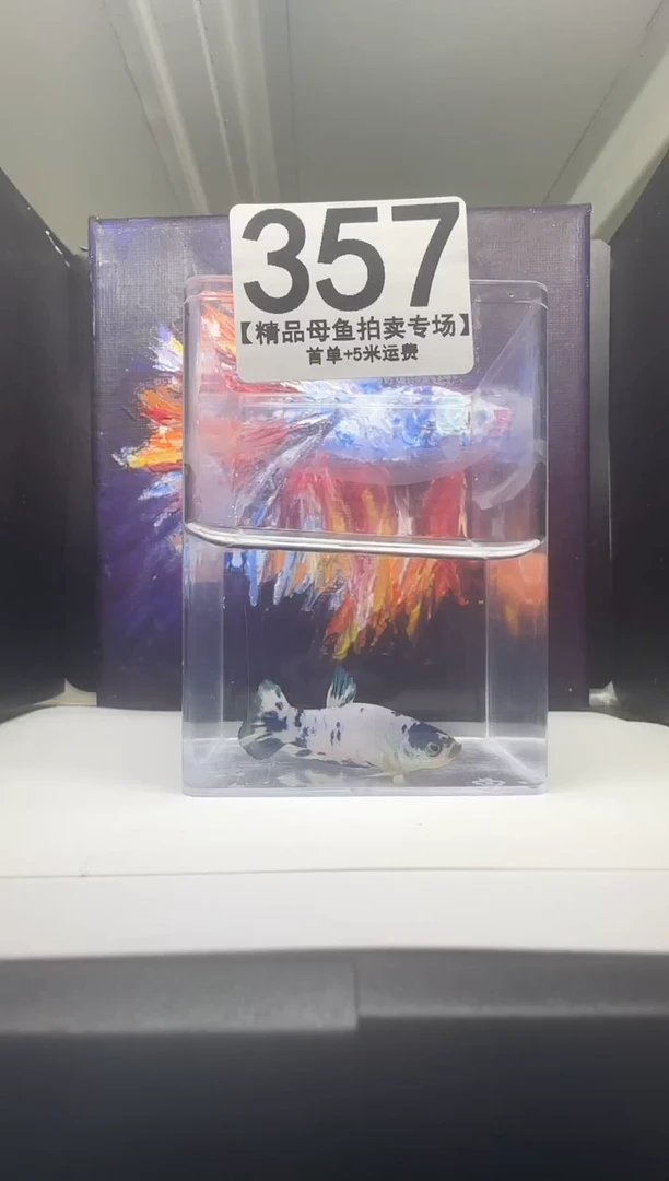 斗鱼母鱼编号：357