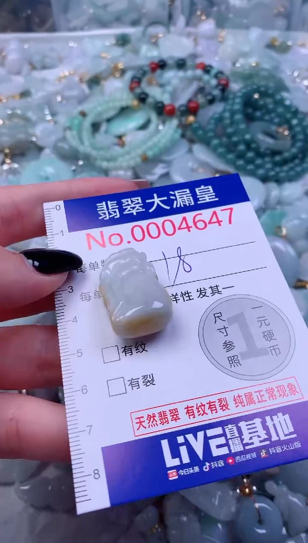 颈饰未镶嵌翡翠4647