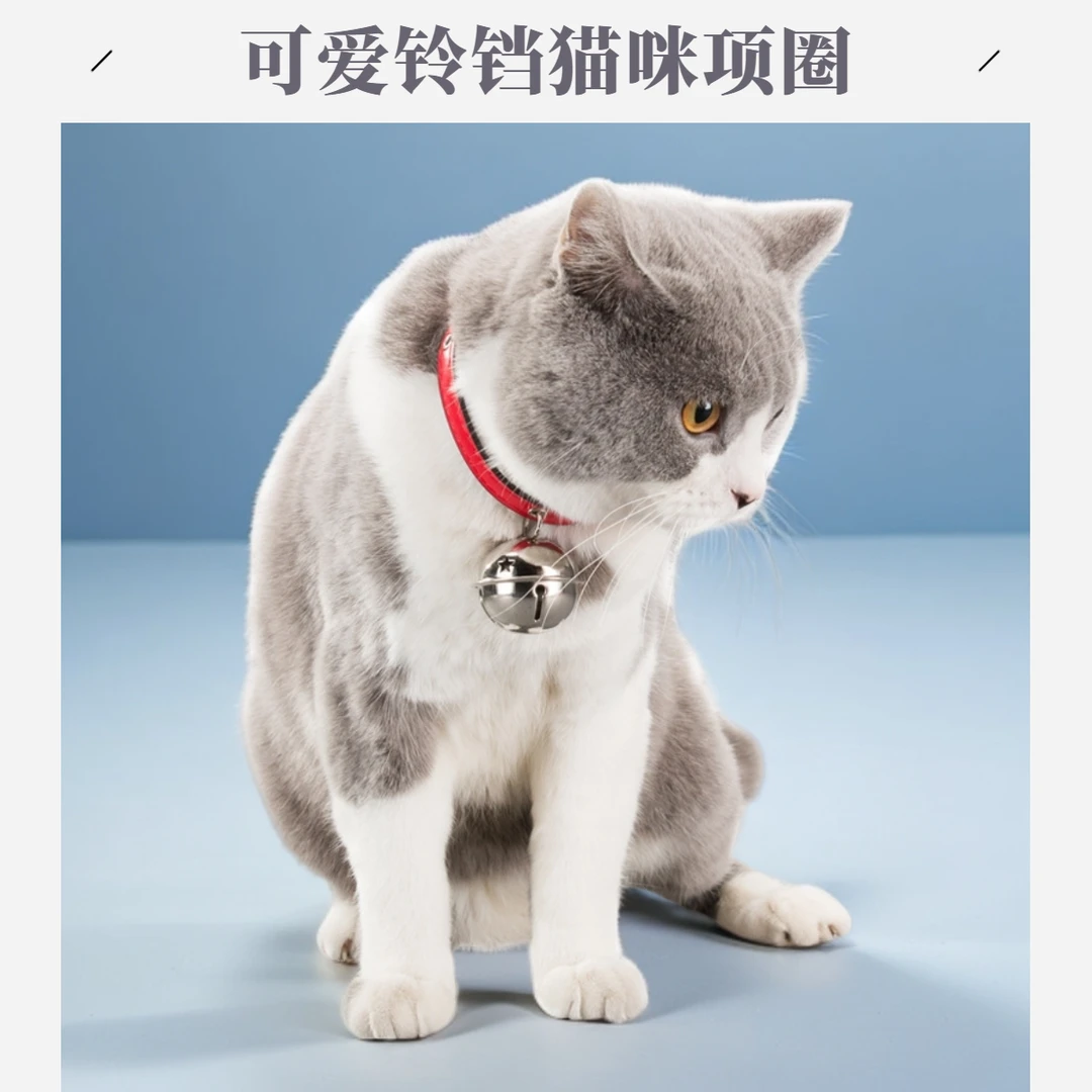猫咪狗狗项圈铃铛爪印骨头合金铃铛小型犬泰迪幼犬颈圈宠物用品