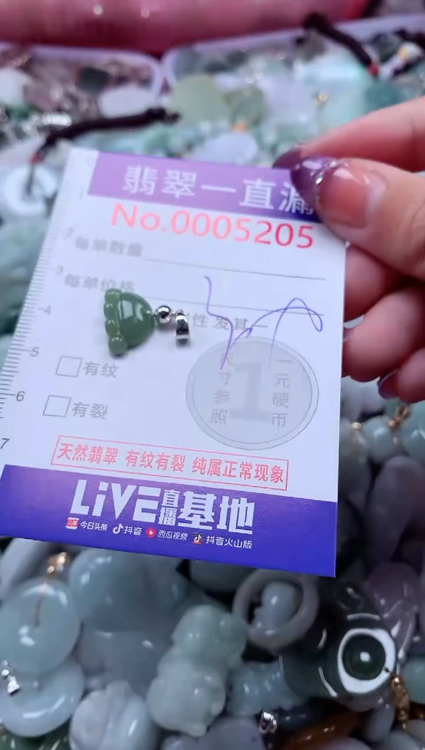 翡翠未镶嵌吊坠(不含链)5205