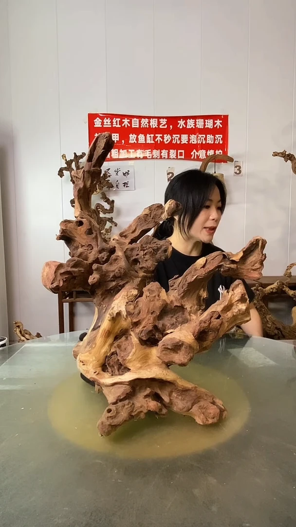 香榧木北****厂金丝红木 羊蹄甲