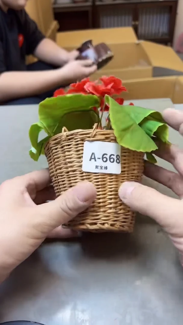 【闪购商品】瓷片668聚宝缘海淘精选