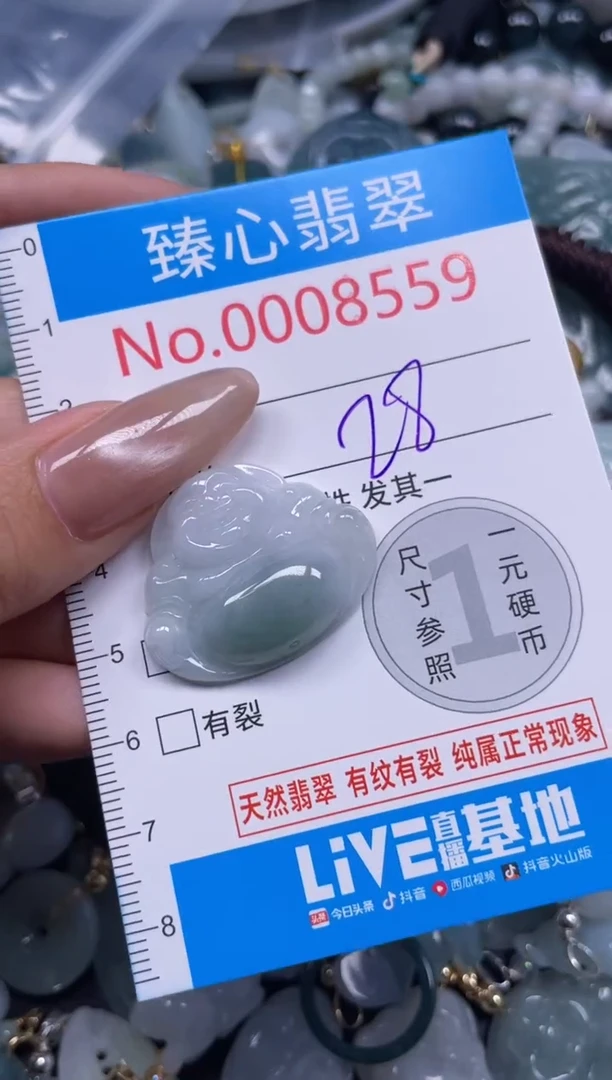 颈饰未镶嵌翡翠8559