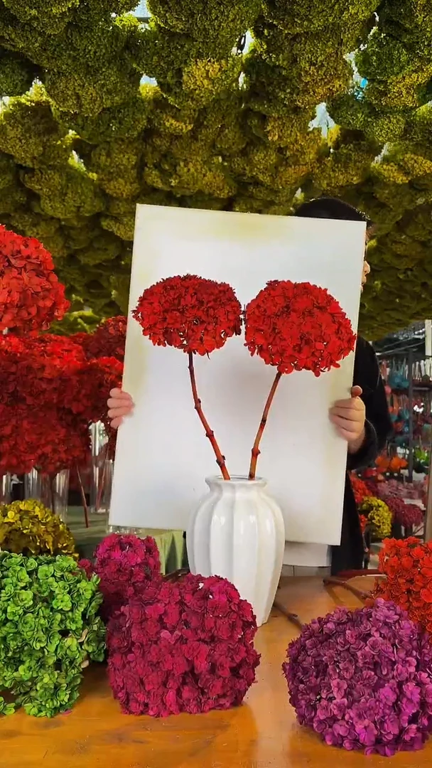 125  山前小麦 · 永生重瓣绣球2枝（中国红）