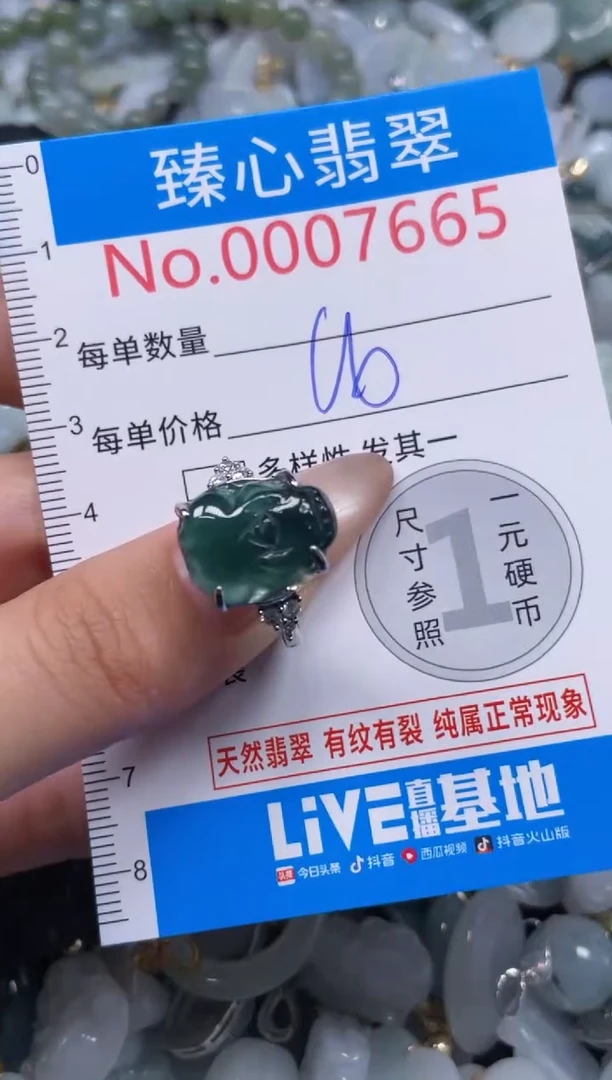 颈饰未镶嵌翡翠7665