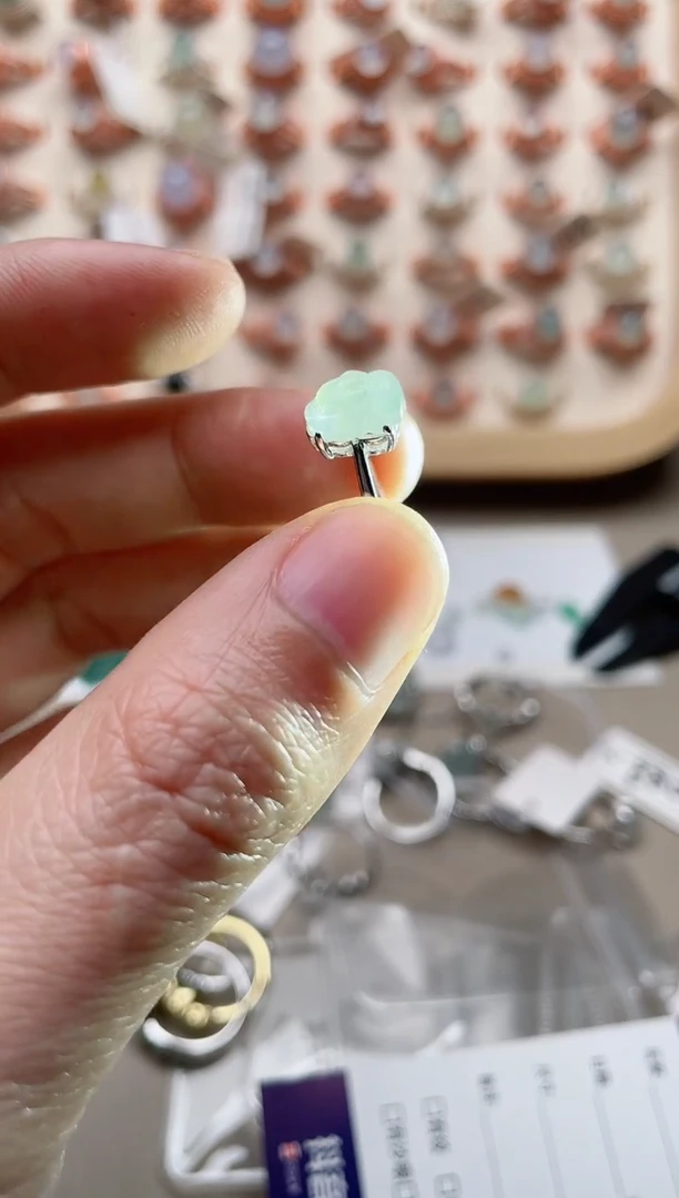 【闪购商品】翡翠戒指银S925镶嵌1000000069