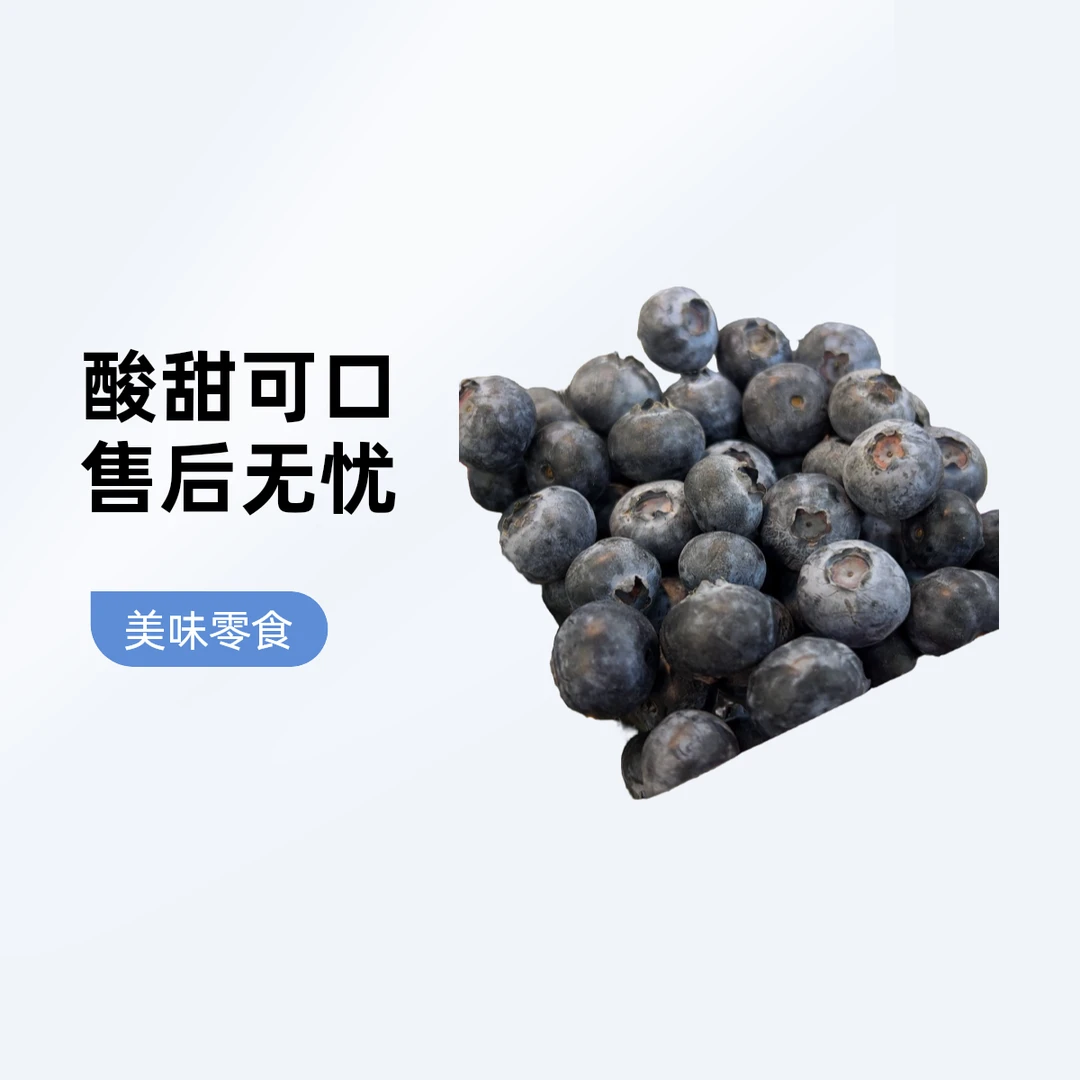 蓝莓125g