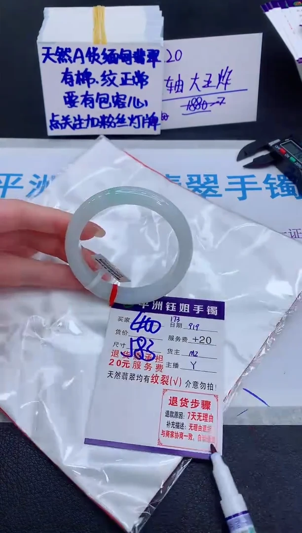 未镶嵌手镯翡翠11111