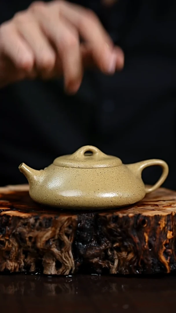 宜兴知衍传器原矿全手22