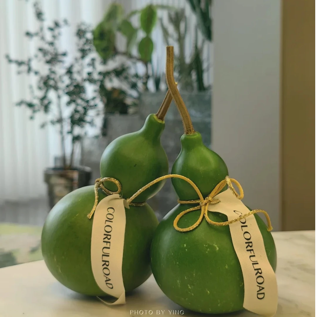 【翡翠葫芦】家居摆件 高级小众格调鲜切花