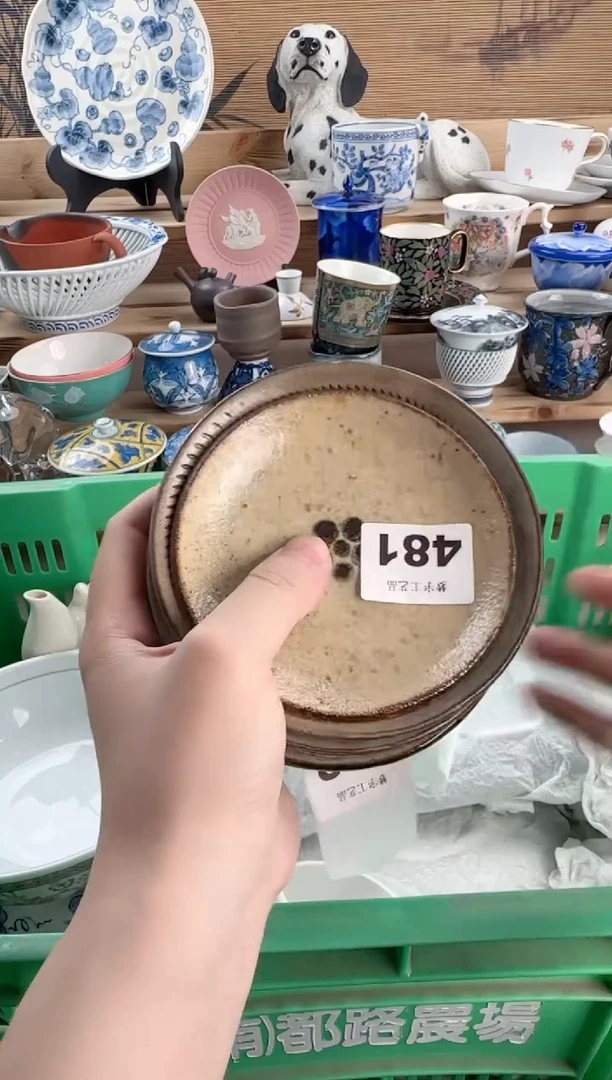 瓷片小***婆瓷器  481