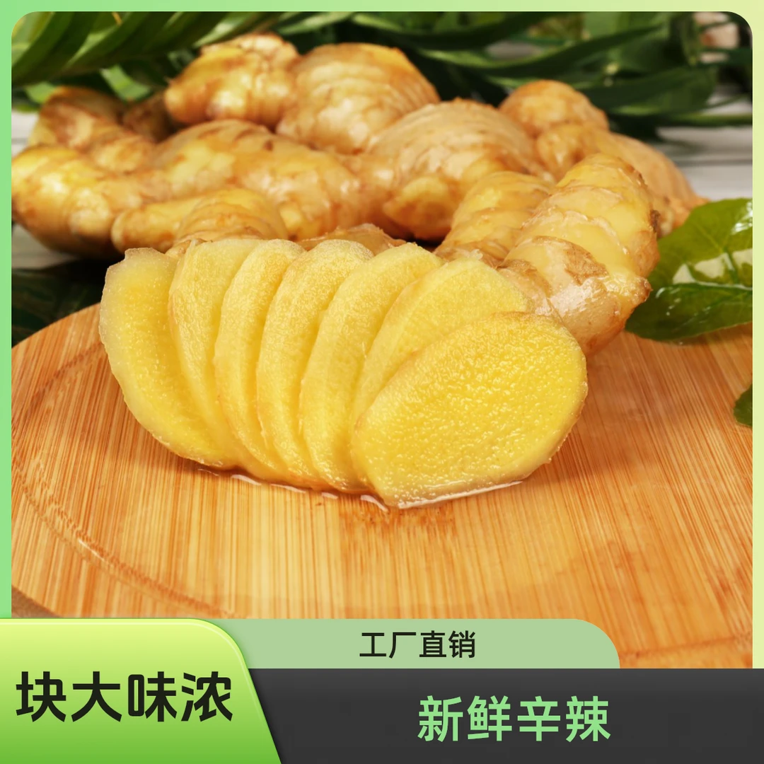 【高山小黄姜】云南小黄姜新鲜老姜浓郁辛辣够味云南小黄姜品质保障