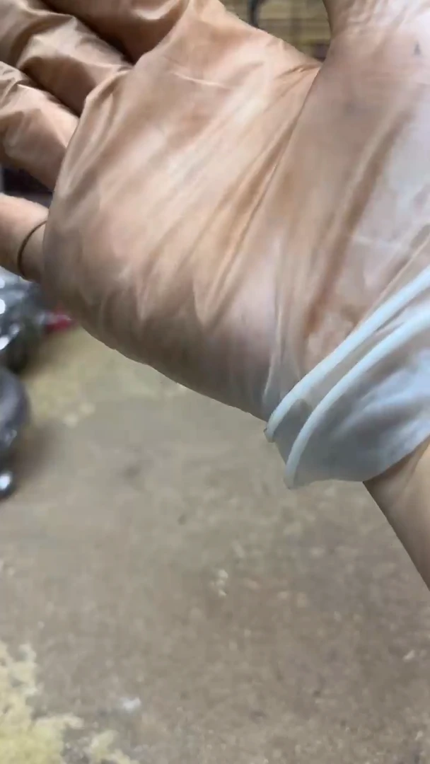 0**1炉炉炉炉炉炉炉炉炉炉炉炉炉炉