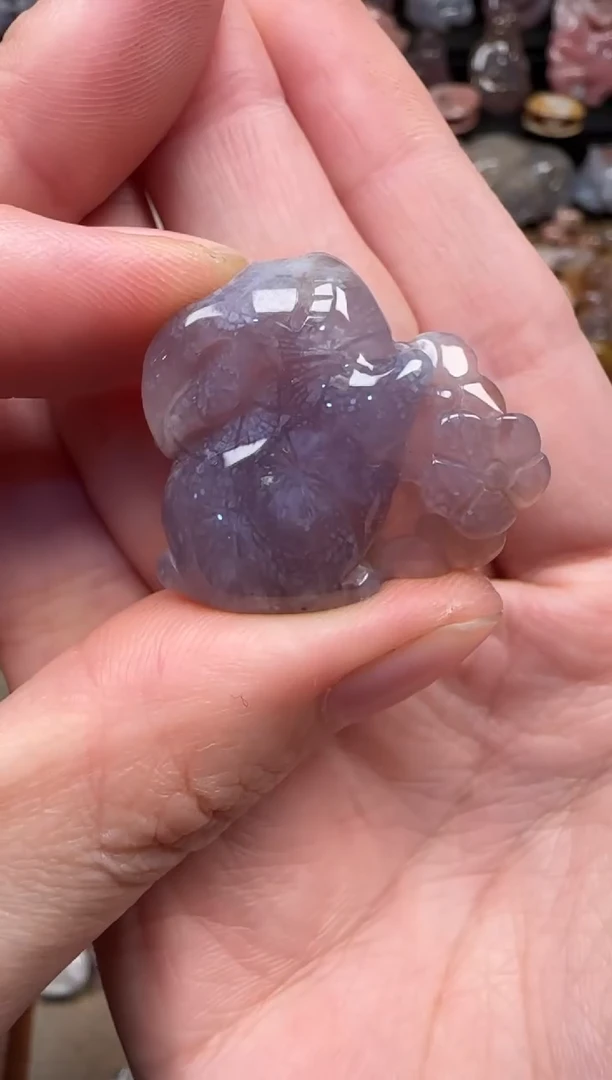 颈饰未镶嵌硅化珊瑚（珊瑚玉）759