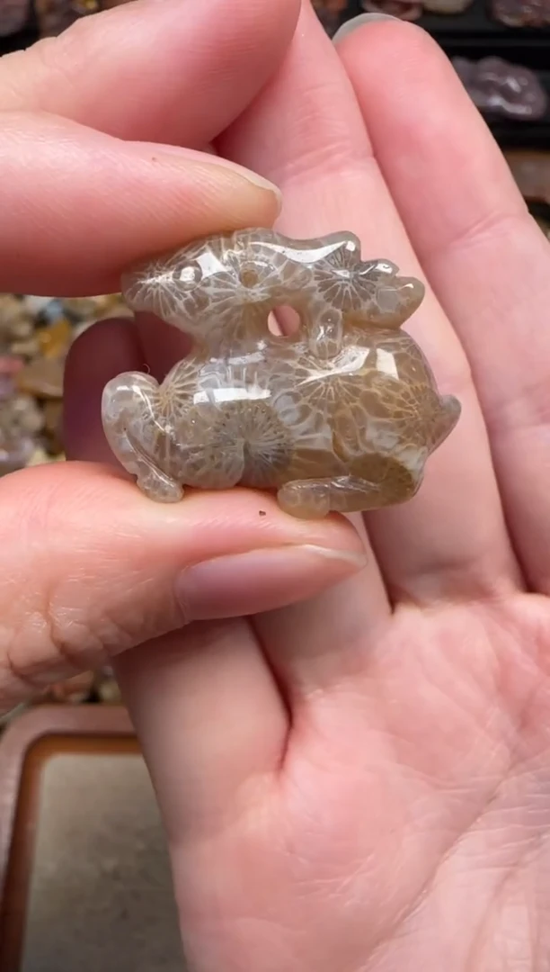 颈饰未镶嵌硅化珊瑚（珊瑚玉）208
