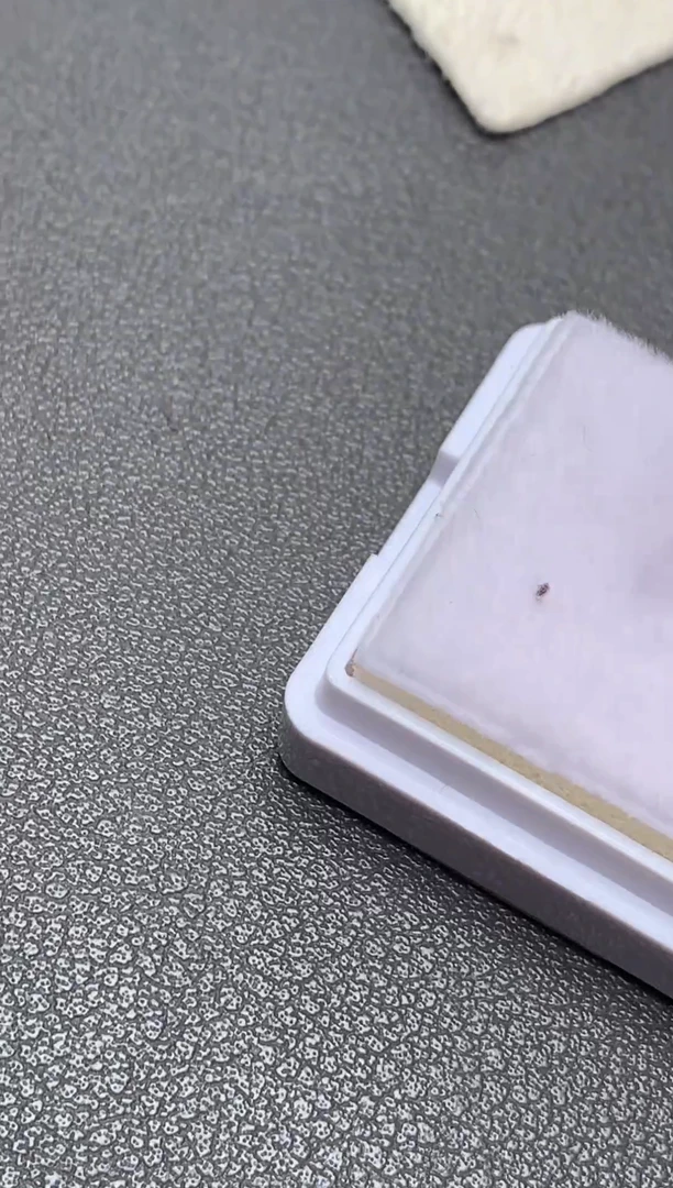 未镶嵌天然锆石裸石2.035克拉