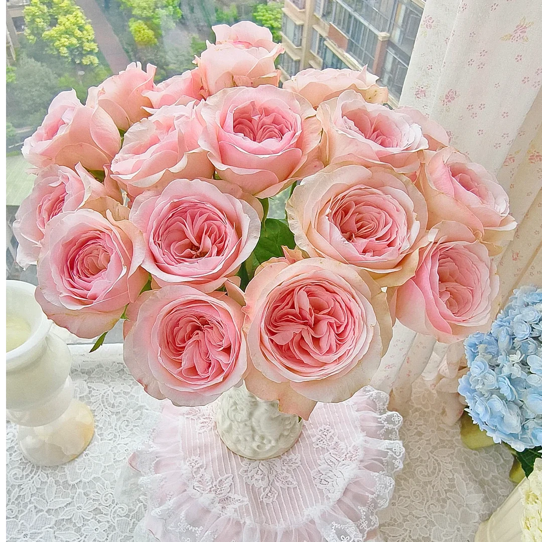 【凯瑟琳】B级精品20枝现采现发 云南鲜花玫瑰