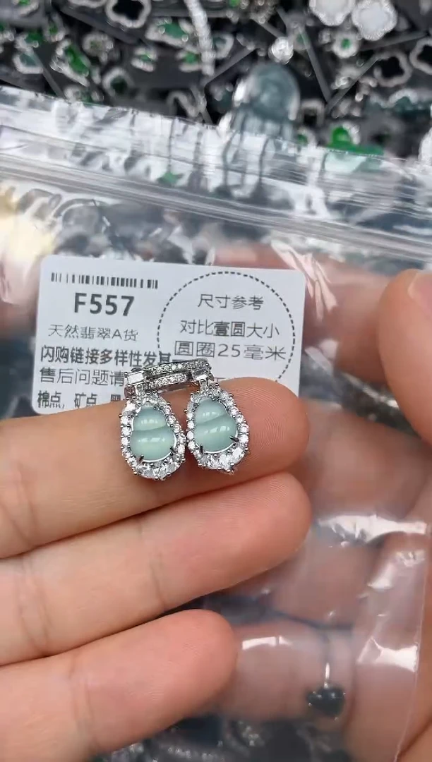 颈饰未镶嵌翡翠F557耳扣