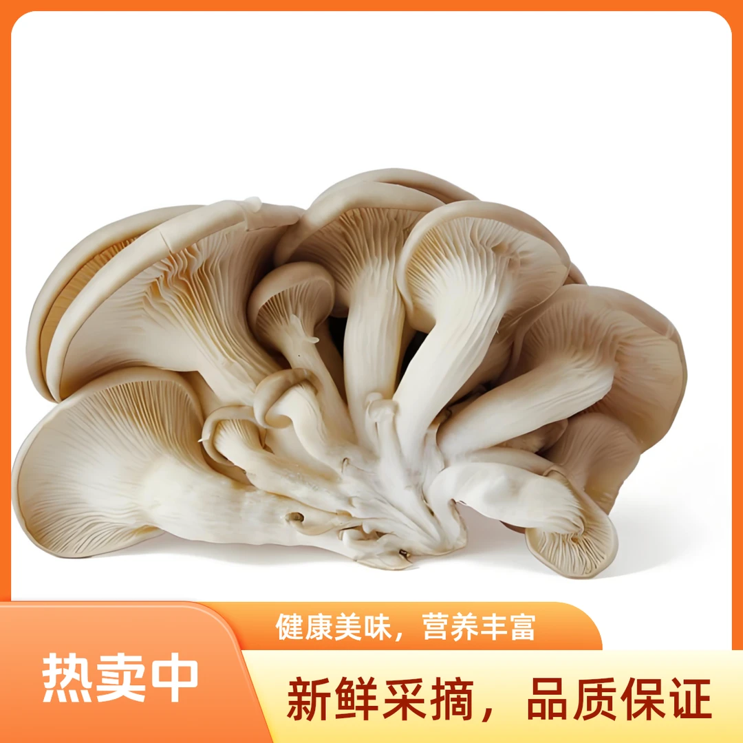 【配送到家】平菇冻菌约500g