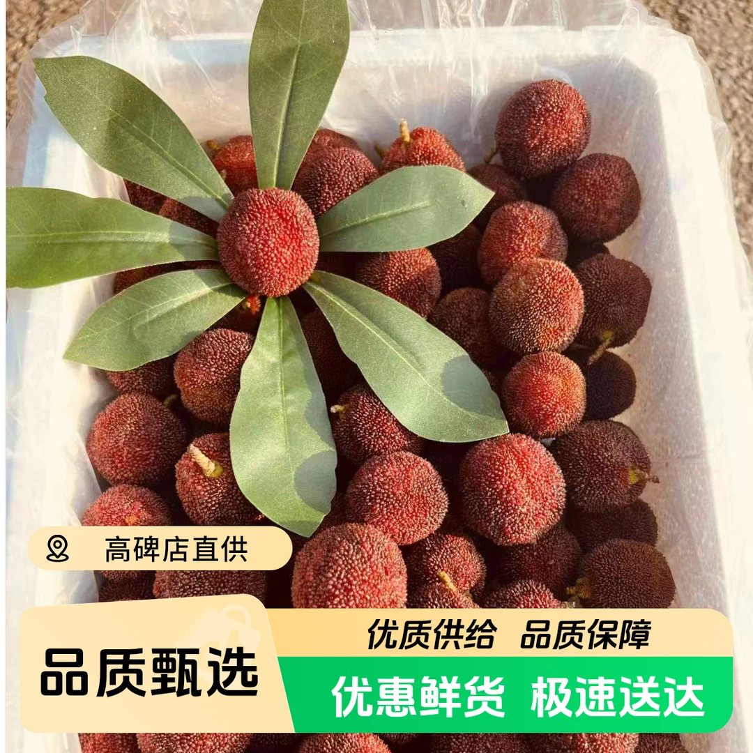 【沈阳发货-东三省】云南东魁杨梅大果净重2.5斤/5斤辽宁省