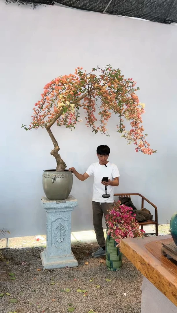 【闪购商品】aa928