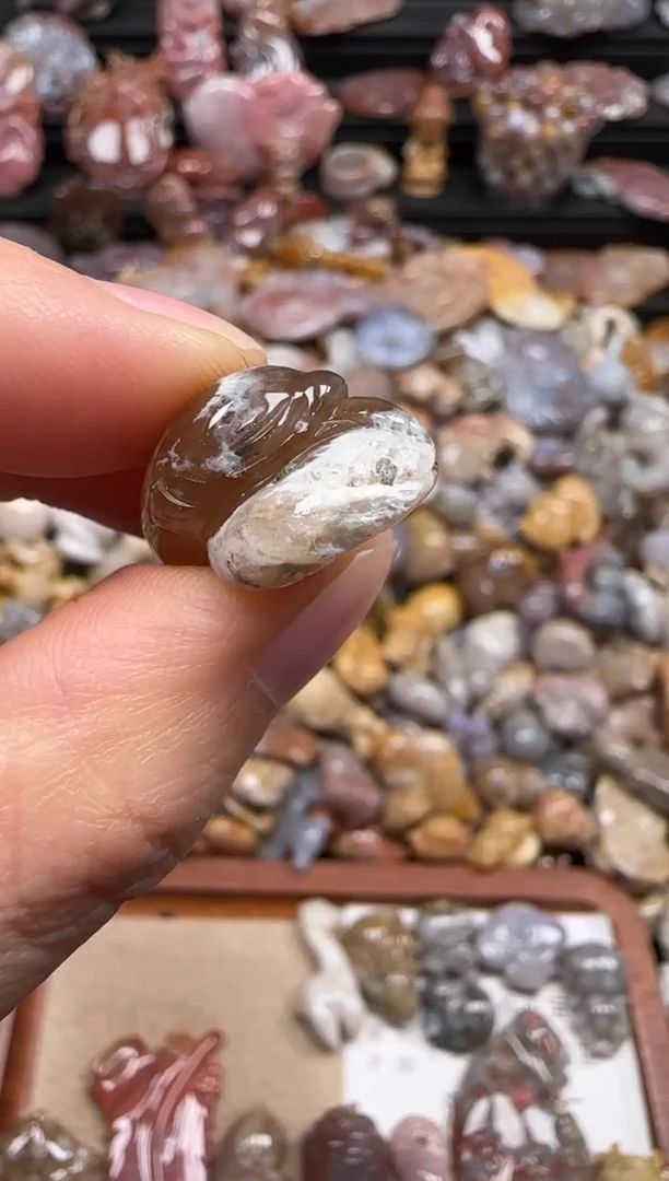 【闪购商品】硅化珊瑚（珊瑚玉）颈饰未镶嵌277