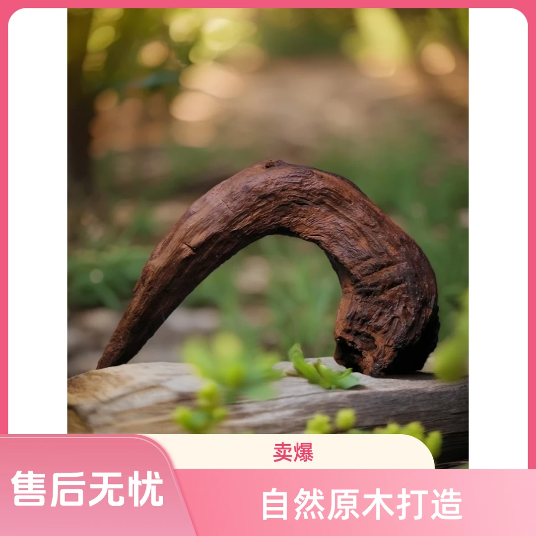 水族天然精品沉木造景素材摆件工艺品鱼缸紫柚木
