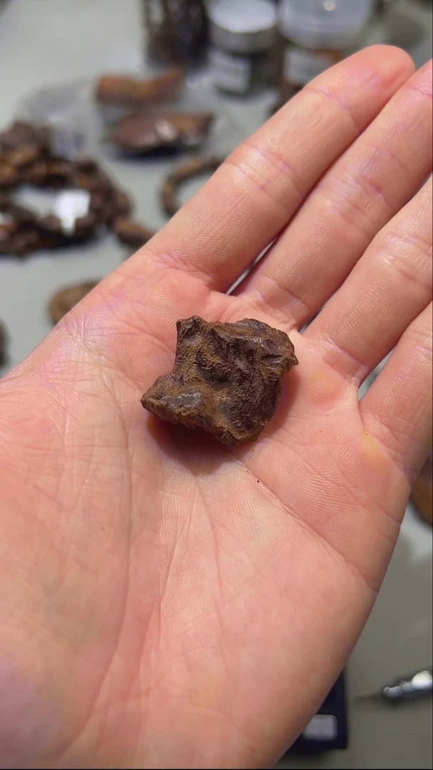 【闪购商品】沉香手把件富森料1.8g