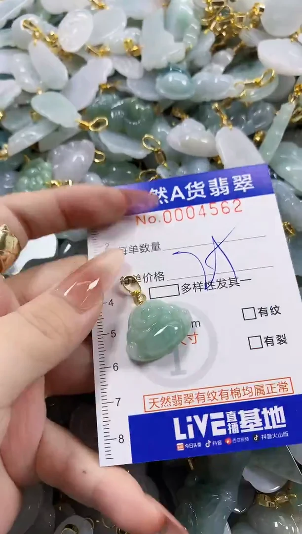 颈饰未镶嵌翡翠天然A货翡翠