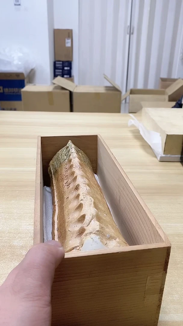 【闪购商品】瓷片134观器轩欢迎您