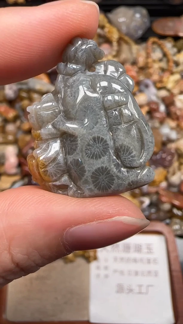 硅化珊瑚（珊瑚玉）未镶嵌颈饰534